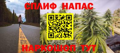 шишки Краснодар
